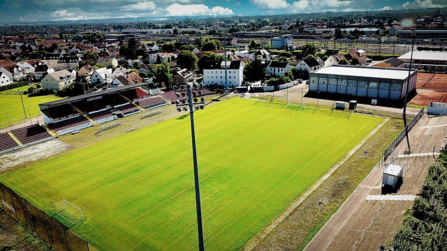 意甲主席：联盟将尽一切可能支持国家队，俱乐部会配合集训