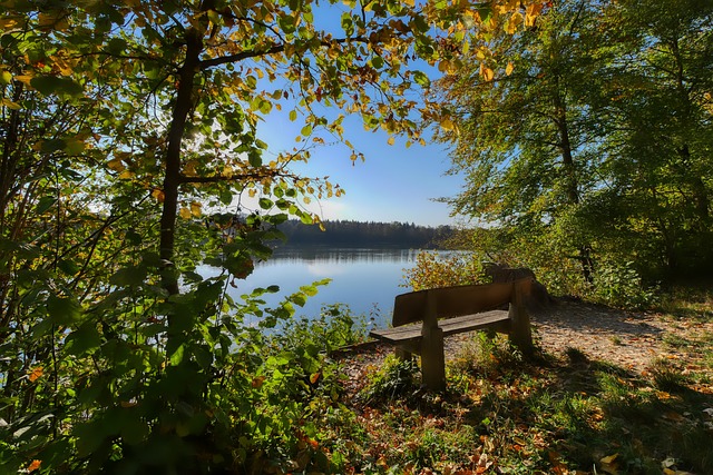 法媒：巴黎FC想签下坎特，他与吉达联合的合同仅剩不到一年